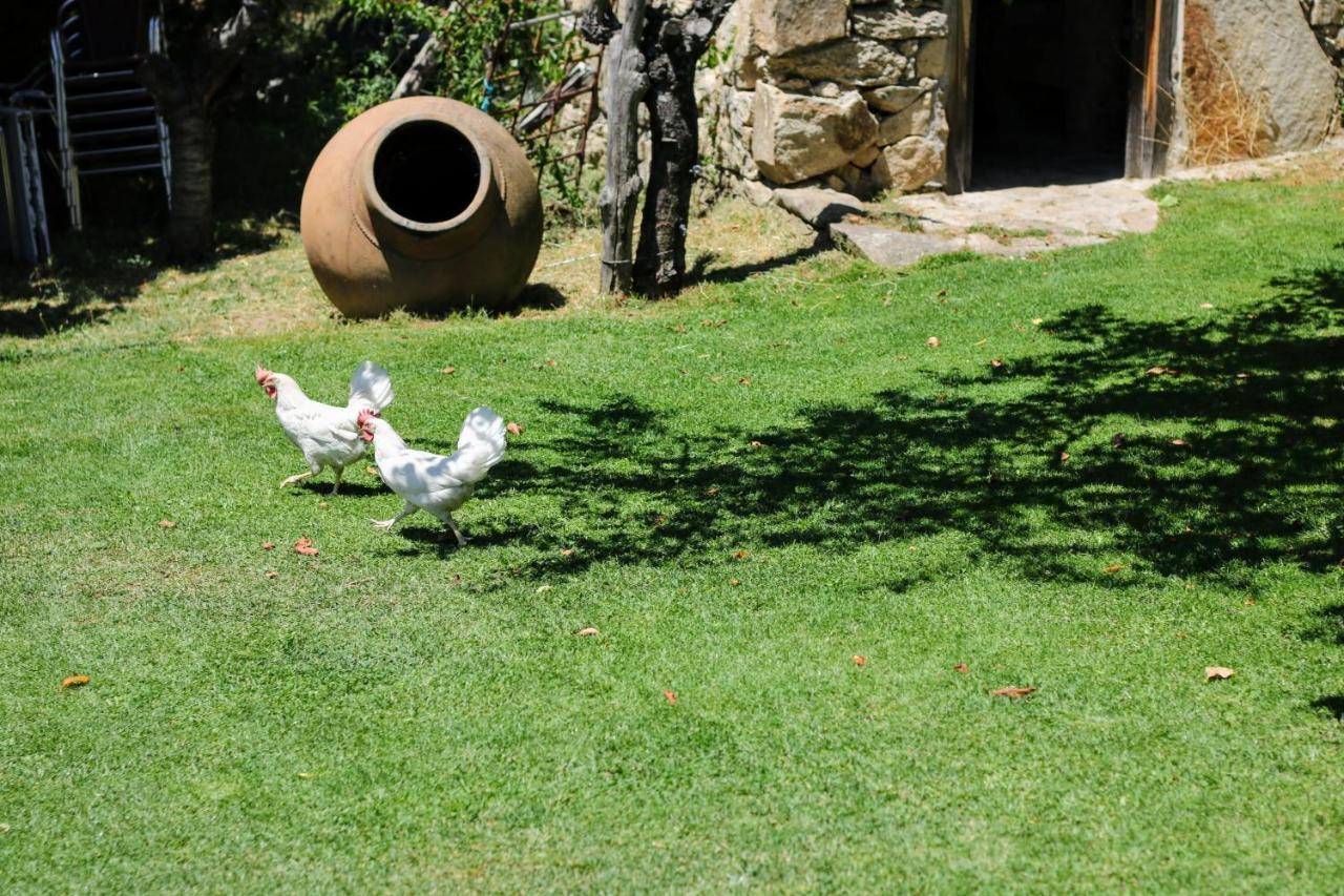 El Pinarejo Villa El Arenal  Kültér fotó