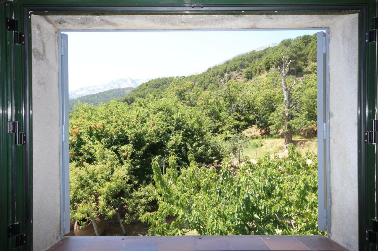 El Pinarejo Villa El Arenal  Kültér fotó
